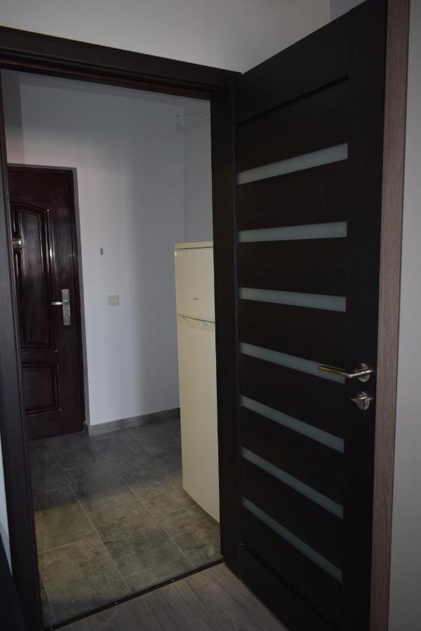 Apartament Palatul De Justitie Rhbm Baia Mare Eksteriør billede